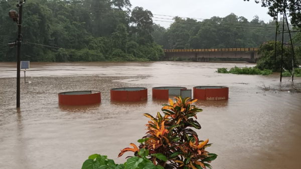 Heavy rain in coastal Districts: Netravati, Kumaradhara rivers flowing beyond danger level