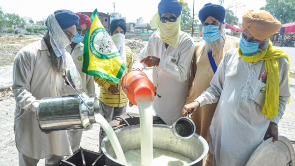 Milk Price Rise: After tomatoes, dairy products to burn consumer’s pocket