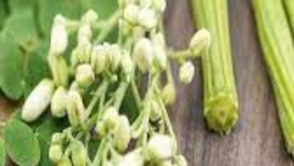 Moringa Leaves (Nugge Soppu) Moringa Leaves (Nugge Soppu)