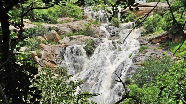 Top 5 Waterfalls Near Bangalore for Memorable Weekend Trips