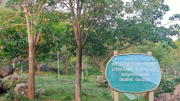 Weekend travel: Speciality Of Mysuru Chamundeshwari Devi Udyanavana