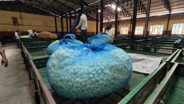 new-hi-tech-silk-market new-hi-tech-silk-market