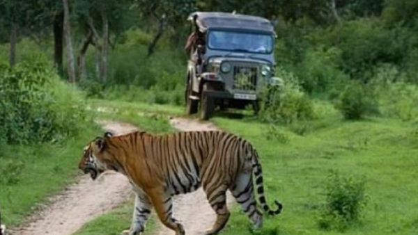 Good news for tourists: Night Safari is coming to Hampi for the first time in the state