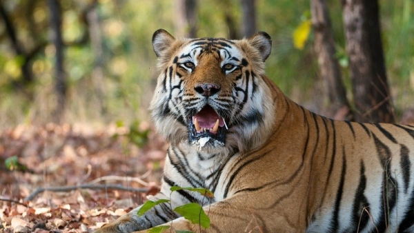 Places To Visit in Bangalore