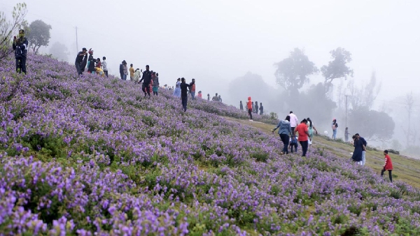 Places To Visit in Bangalore