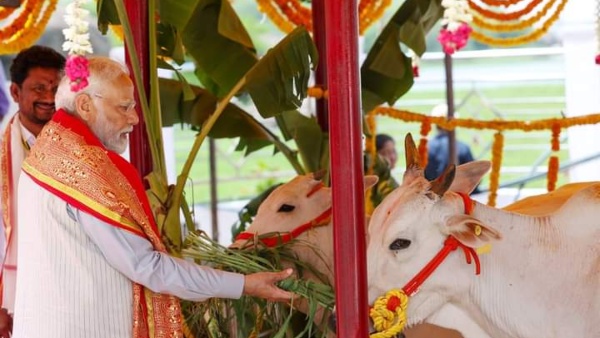 PM Modi to contest from Tamil Nadu