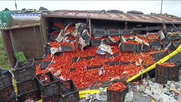 Police Security to Tomatoes