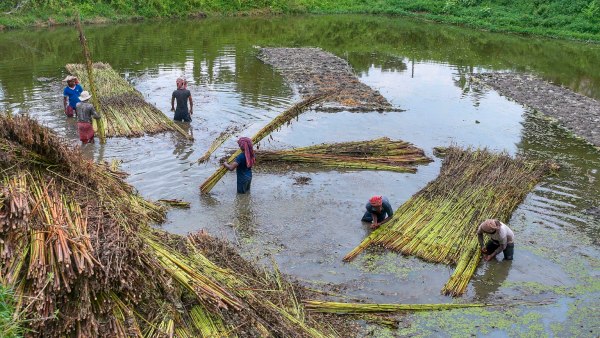 Heavy Rain In Karnataka Tips For Farmers To Protect Crop