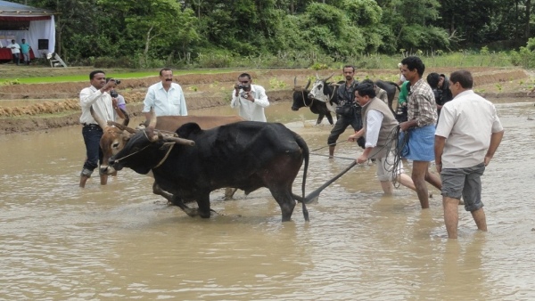 Kodagu District Beauty Increases In Rainy Days