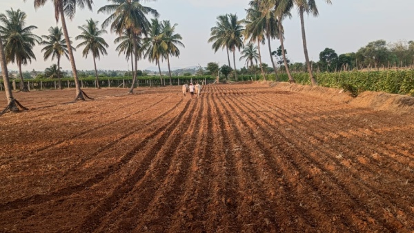 Farmers Try To Save Crops Due To Rainfall Is Low In Raichur District