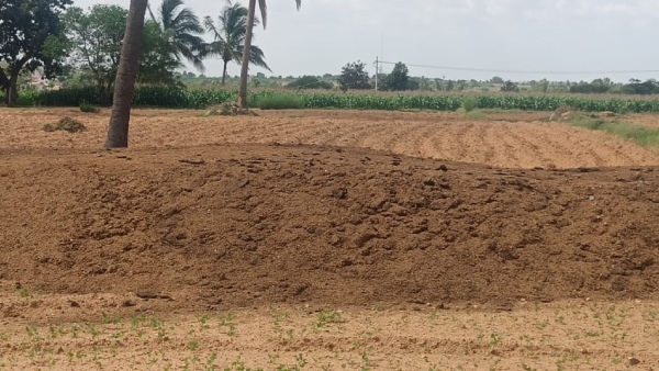 Farmers Try To Save Crops Due To Rainfall Is Low In Raichur District