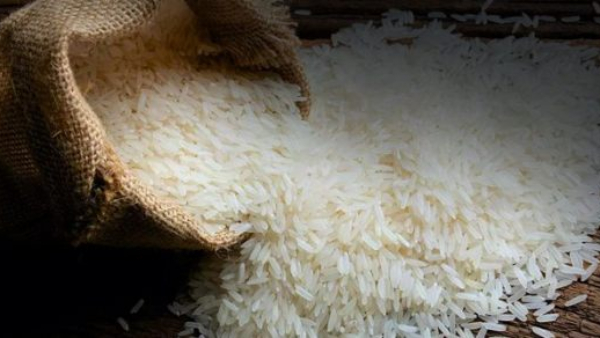 rice-export-ban rice-export-ban