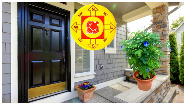 vastu tips where to keep sangu poo plant at home for prosperity in kannada
