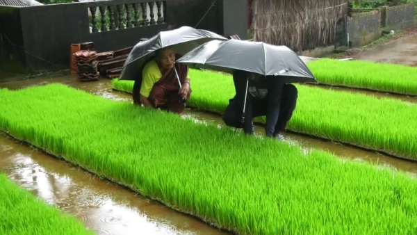 sowing in Karwar district