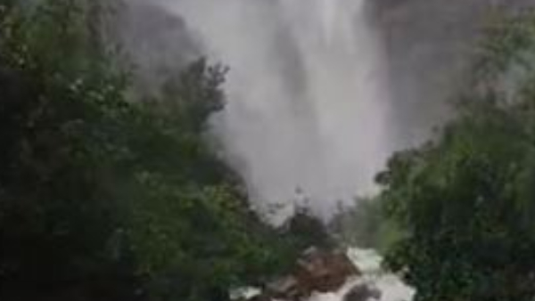Telangana: 80 Tourists Stuck In Muthyala Dhara Waterfalls in Mulugu, Started Rescue Operation 