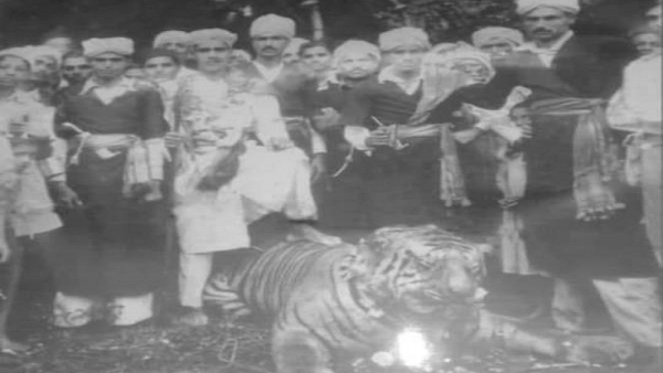 Tiger Wedding Special Ritual In Kodagu District