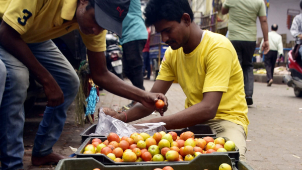 Tomatoes worth rs 3.5 lakh stolen in RMC Yard area, couple arrested 