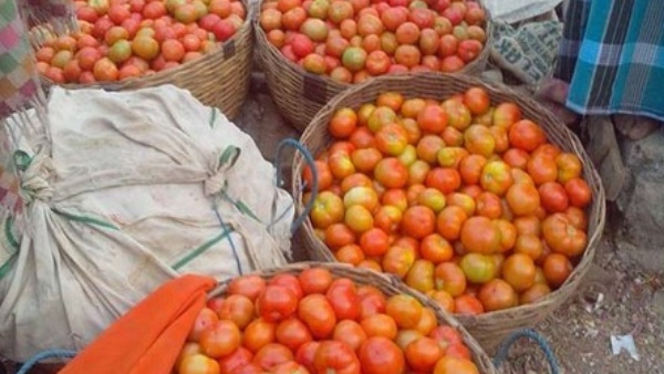 In Bengaluru Tomato Price Decreased To Below 100 Rs Per Kg