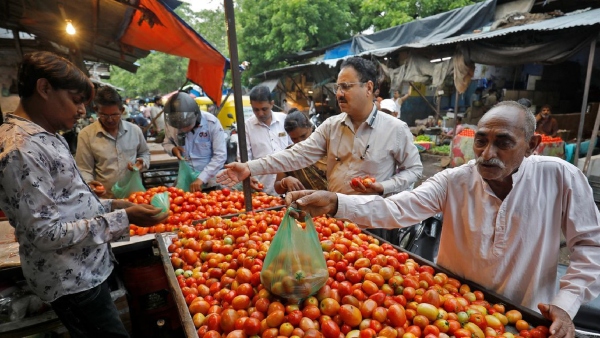 Tomato price in Bangalore: Incessant rainfall further pushes up tomato prices- Know the details