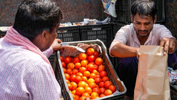 tomato-price-surges-in-karnataka
