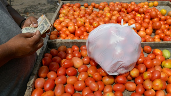 Soaring Tomato Prices Hit ₹160/kg in Vizag Outpacing Even Petrol Costs; Price in Different Cities Soaring Tomato Prices Hit ₹160/kg in Vizag Outpacing Even Petrol Costs; Price in Different Cities