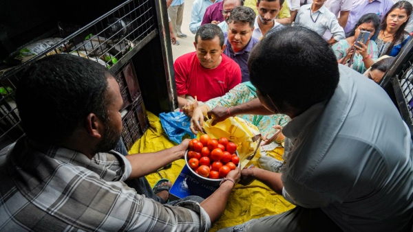 Tomato price: Union Government decided to sells tomatoes at rs 80 per kg