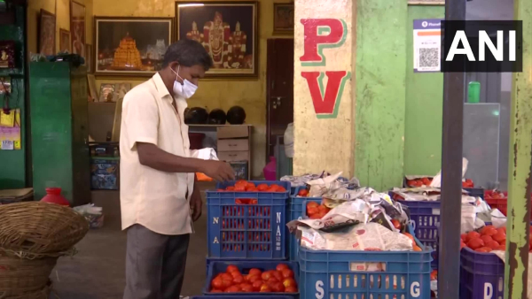 Tomato price reached ₹200 in North India - further increase is likely due to heavy rains