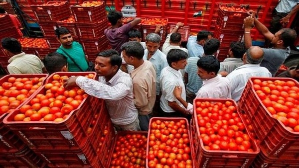 Tomato price reached ₹200 in North India - further increase is likely due to heavy rains