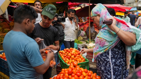 Skyrocketing Tomato Prices Hit Rs. 140/kg in Delhi-NCR