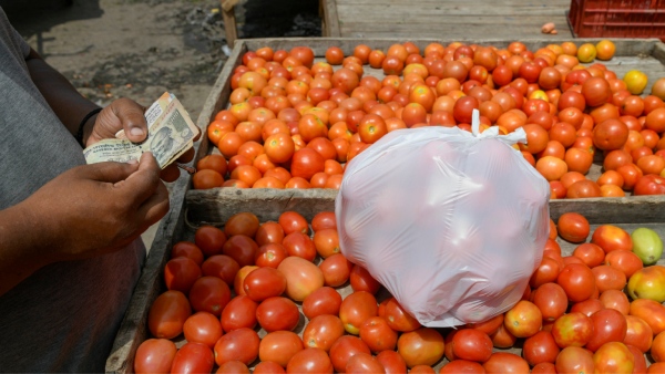 Jackpot for Andhra farmer who grew tomatoes: Do you know how many crores he earned in 45 days?