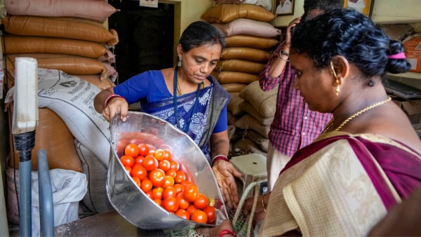 Jackpot for Andhra farmer who grew tomatoes: Do you know how many crores he earned in 45 days?