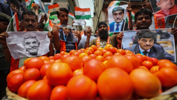 Jackpot for Andhra farmer who grew tomatoes: Do you know how many crores he earned in 45 days?