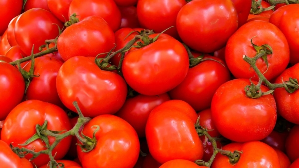Tomato Price Hike