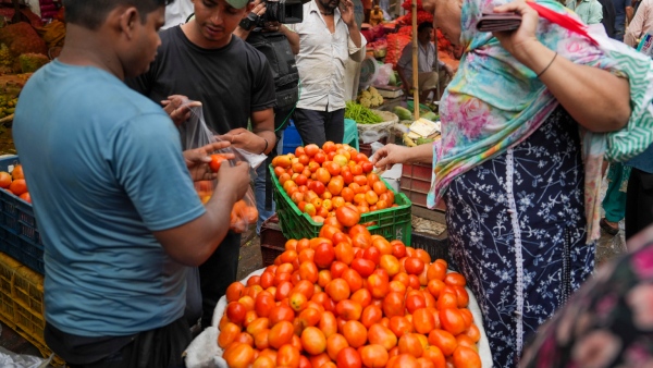 Tomato price hike Tomato price hike