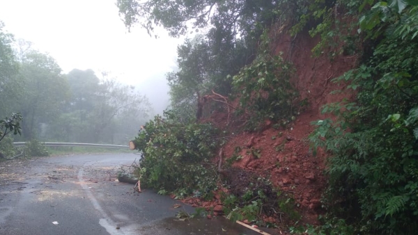 Tunga River overflowing; Hundreds of hectares paddy crop and gardens flooded in Hariharapura