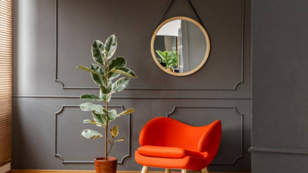 Vastu tips things to keep in mind while keeping mirror at home in kannada