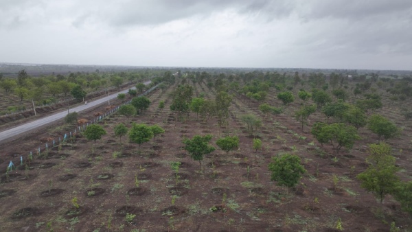 2 Lakh saplings to be planted around Karnatakas 3rd largest Mamdapur Lake in Vijayapura, MB Patil