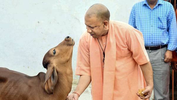 100% tree plantation target achieved in 8 districts of UP: UP Government
