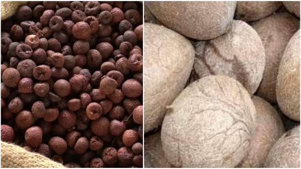  Kobbari (Copra) And Arecanut Latest Price In Karnataka