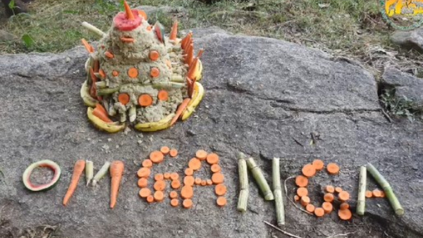 Baby Elephant Birthday Celebration In Bannerghatta