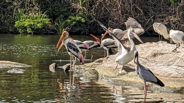 5 Road Trips Spots for One Day Trip From Bangalore for Nature Lovers- Know Which are they? 5 Road Trips Spots for One Day Trip From Bangalore for Nature Lovers- Know Which are they?