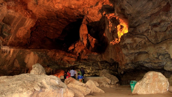 5 Road Trips Spots for One Day Trip From Bangalore for Nature Lovers- Know Which are they? 5 Road Trips Spots for One Day Trip From Bangalore for Nature Lovers- Know Which are they?