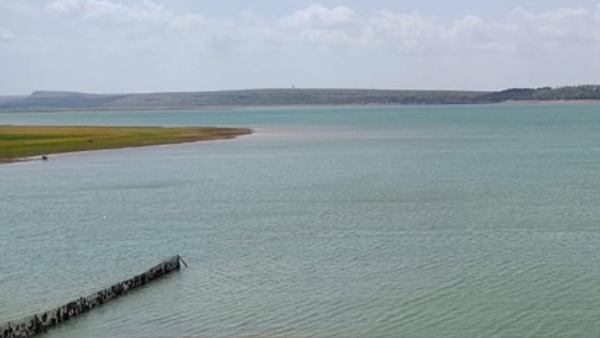 bhadra-dam-water-level