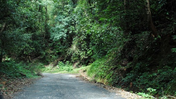 Travel News: Bisle Ghat View Point Speciality