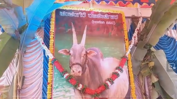 blood-donation-camp-and-free-food-in-memory-of-bull