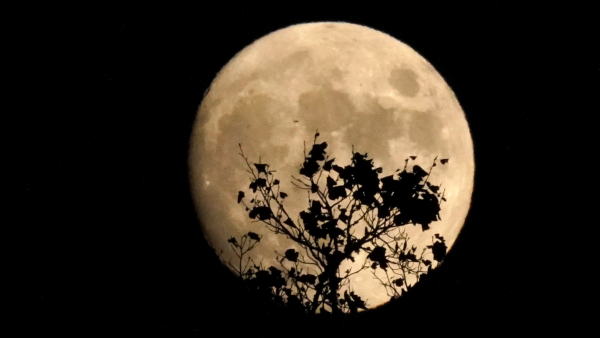 Super Blue Moon Aug 2023: Date, Time, When to Watch, Significance in Kannada Super Blue Moon Aug 2023: Date, Time, When to Watch, Significance in Kannada