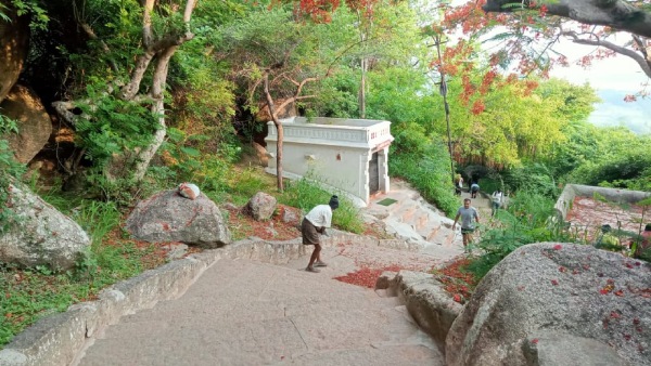 Fine For Throwing Plastic In Mysuru Chamundi Hills