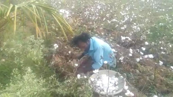 Surappanahatti Disable Farmer Balanna Successful In Agriculture