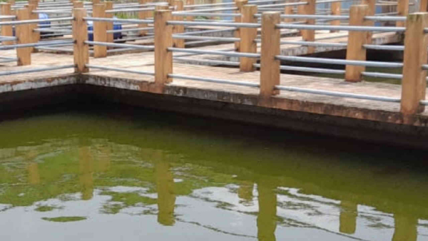 Sulekere Lake Water Not Drinkable