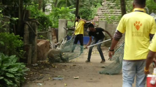 Rabies Disease detection operation by Goa government in Karwar